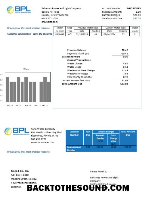 Scarica Bahamas Power and Light Azienda Affari Bolletta Bolletta in Word and PDF Formato Campione campione