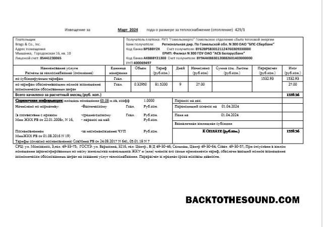 Scarica Bielorussia Gomel energo Affari Bolletta Bolletta in .doc and .PDF Formato, fully Modificabile Campione anteprima