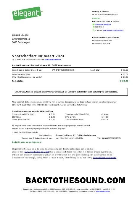 Scarica Belgio Elegant Affari Bolletta Bolletta Word and PDF Campione campione