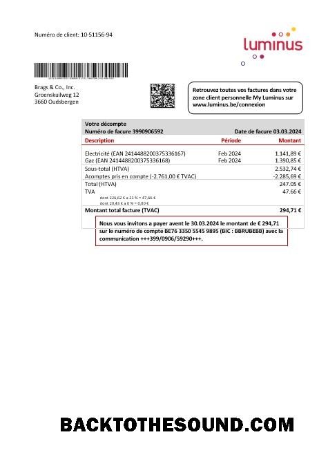 Scarica Belgio Luminus Affari Bolletta Bolletta in Word and PDF Formato Campione mockup