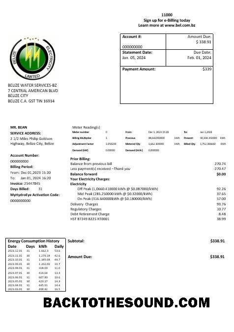 Scarica Belize Elettricità Limited Elettricità Affari Bolletta Bolletta in Word and PDF Formato Campione campione