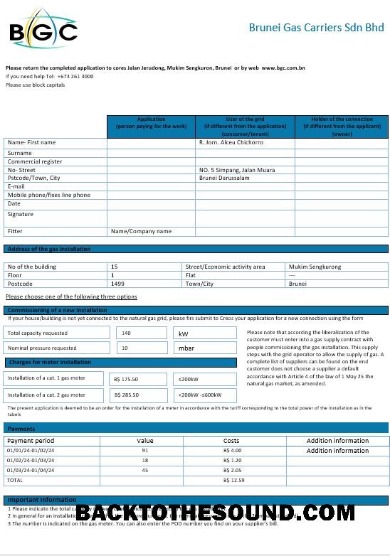 Scarica Brunei Gas Carriers Gas Affari Bolletta Bolletta in Word and PDF Formato Campione campione