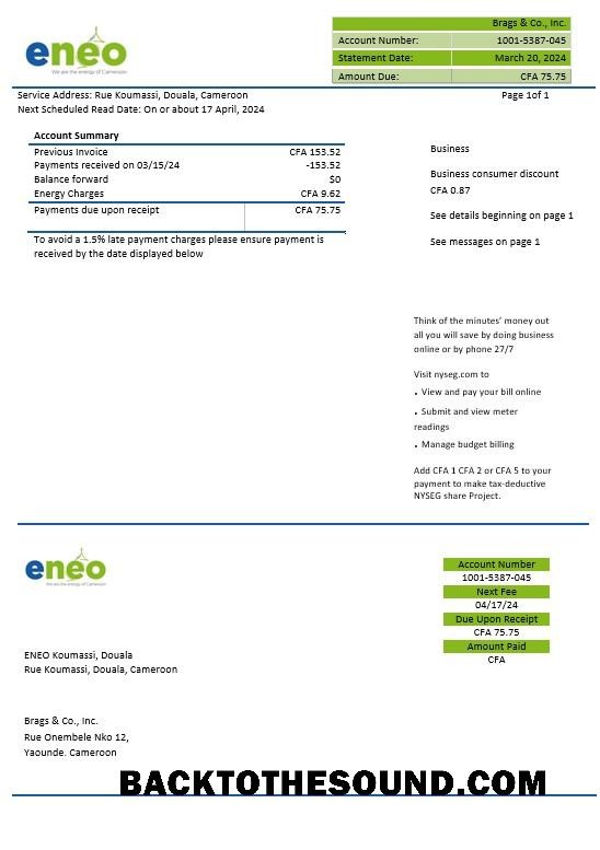 Scarica Camerun ENEO Elettricità Affari Bolletta Bolletta in Word and PDF Formati Campione mockup