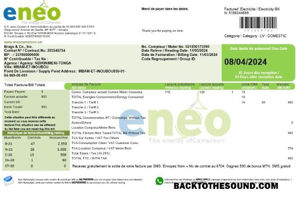 Scarica Camerun ENEO Elettricità Affari Bolletta Bolletta in Word Campione mockup