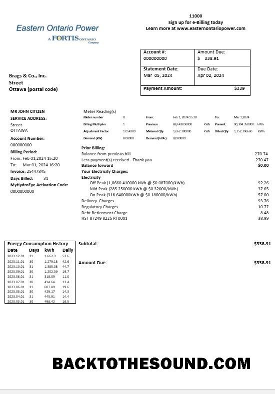 Scarica Canada Eastern Ontario Power Affari Bolletta Bolletta in Word and PDF Formati Campione mockup