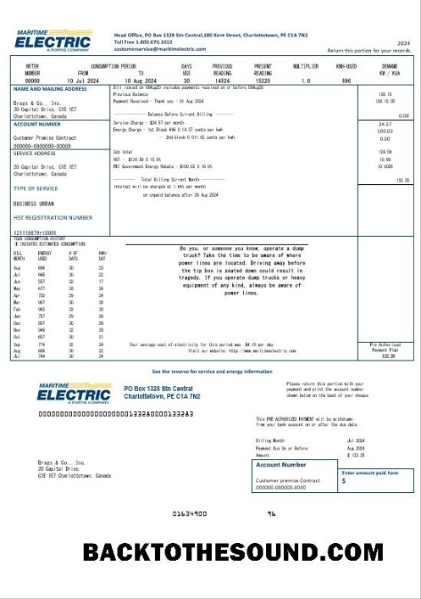 Scarica Canada Maritime Electric Affari Bolletta Bolletta in Word and PDF Formato Campione anteprima