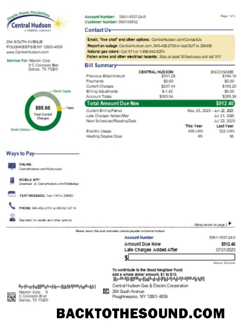 Scarica Central Hudson Energy Group Bolletta Affari Bolletta, Pagina 1, SCR Campione modello
