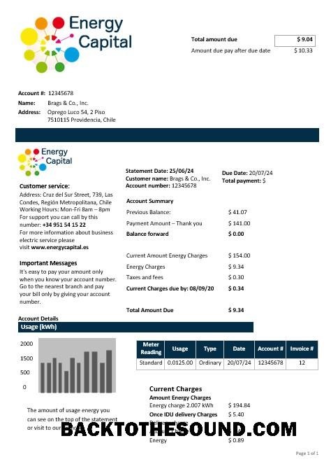 Scarica Cile Energy Capital Affari Bolletta Bolletta in Word and PDF Formati Campione design