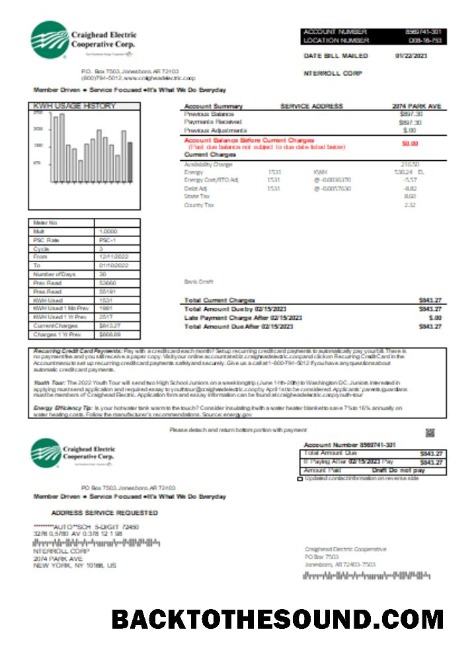 Scarica Craighead Electric Cooperative Bolletta Affari Bolletta, SCR Campione mockup