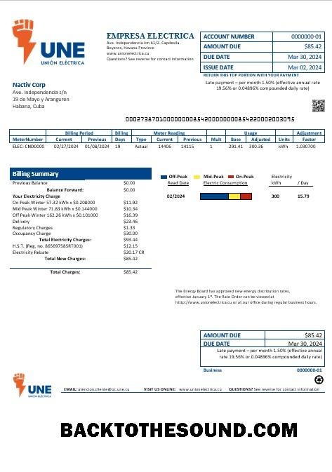 Scarica Cuba Empresa Electrica Affari Bolletta Bolletta in Word and PDF Formati Campione anteprima