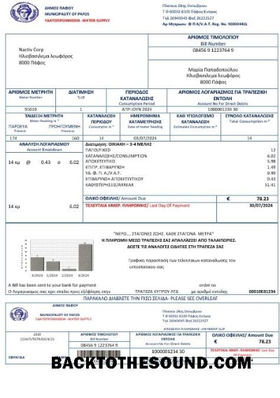 Scarica Cipro Acqua Affari Bolletta Bolletta in Word and PDF Formati Campione modello