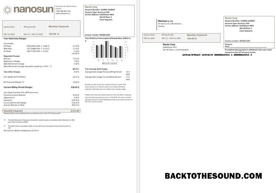 Scarica Repubblica Ceca Nanosun sro Affari Bolletta Bolletta in Word in pfd Formati Campione mockup