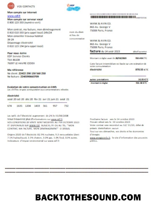 Scarica EDF Francia proof of address Bolletta Affari Bolletta, SCR Campione mockup