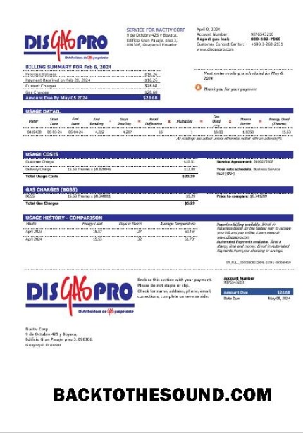 Scarica Ecuador Disgaspro Gas Affari Bolletta Bolletta in Word and PDF Formati Campione modello