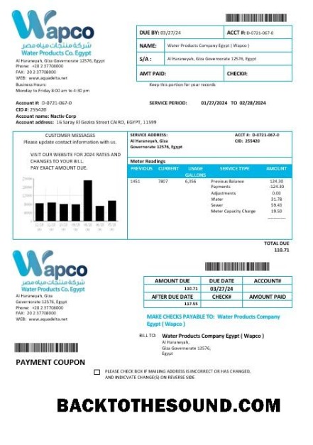 Scarica Egitto Acqua Products Azienda Egitto Wapco Affari Bolletta Bolletta Campione anteprima