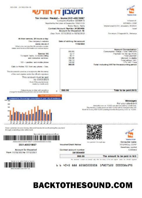 Scarica Electric Corporation Bolletta Affari Bolletta in Hebrew SCR Campione anteprima
