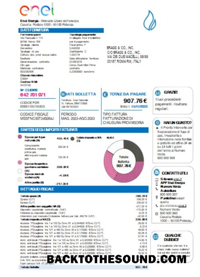 Scarica Enel Energia Bolletta Affari Bolletta, SCR Campione modello
