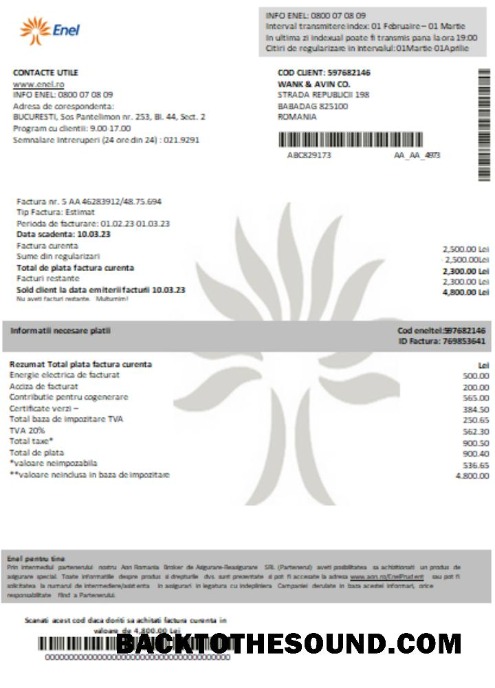 Scarica Enel Elettricità proof of address Bolletta Affari Bolletta SCR Campione mockup