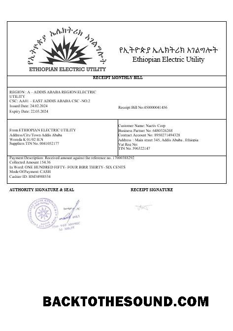 Scarica Ethiopian electric Affari Bolletta Bolletta in wordand PDF formats1 Campione campione