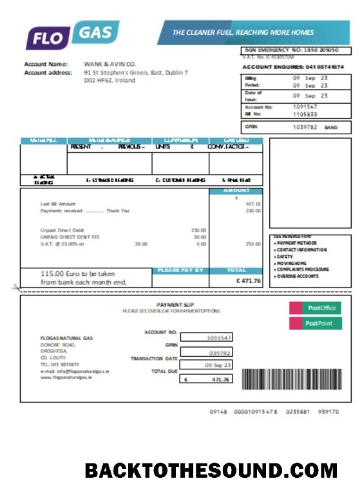 Scarica Flogas Natural Gas Bolletta Affari Bolletta SCR Campione campione