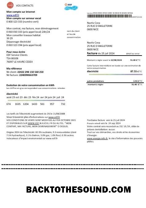 Scarica Francia EDF proof of address Affari Bolletta Bolletta in Word and PDF Formati Campione design