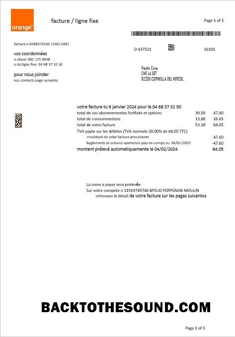 Scarica Francia Orange Affari Bolletta Bolletta in Word and PDF formats1 Campione design