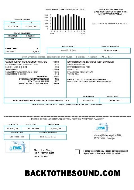 Scarica Georgia RWC Acqua Affari Bolletta in Word and PDF formats1 Campione design