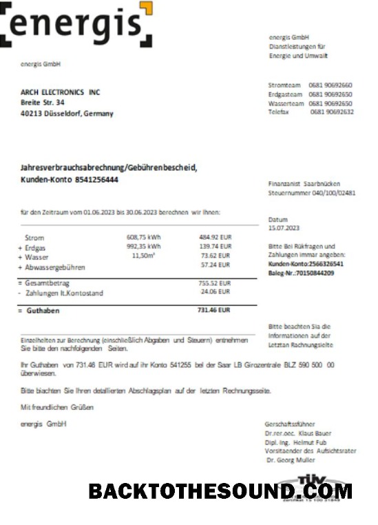 Scarica Germania Energis Bolletta Affari Bolletta, SCR Campione anteprima
