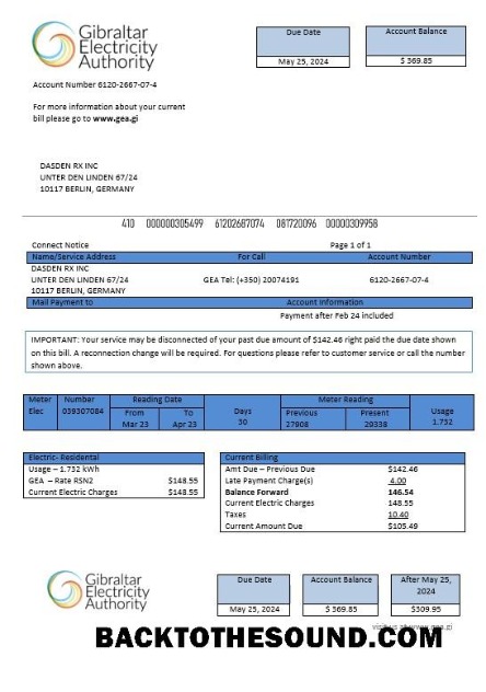 Scarica Gibilterra Elettricità Authority Affari Bolletta Bolletta Word and PDF Campione anteprima