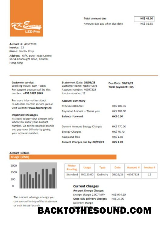 Scarica Hong Kong Energy Ltd Bolletta Affari Bolletta, SCR Campione mockup