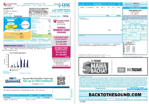 Scarica India CESC LIMITED Affari Bolletta Bolletta Word and PDF Campione design