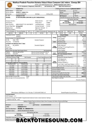 Scarica India MPWZ Affari Bolletta Bolletta Word and PDF Campione mockup
