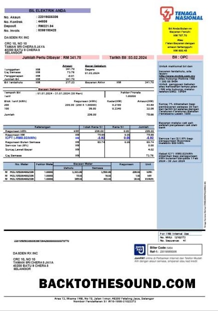 Scarica India TENAGA NASIONAL Affari Bolletta Bolletta Word and PDF Campione design