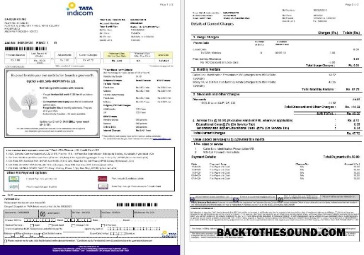 Scarica India Tata Indicom mobile Affari Bolletta Bolletta in Word and PDF Formato, 2 pages Campione design