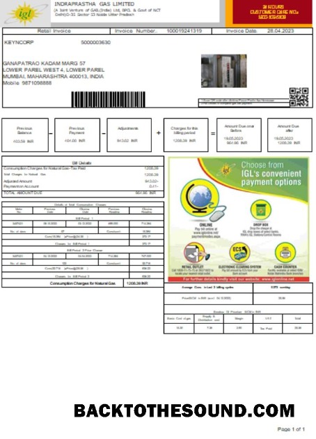 Scarica Indraprastha Gas Limited (IGL)Bolletta Affari Bolletta, SCR Campione mockup