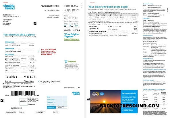 Scarica Irlanda Electric Irlanda Affari Bolletta Bolletta in Word and PDF Formati, 2 pages Campione campione