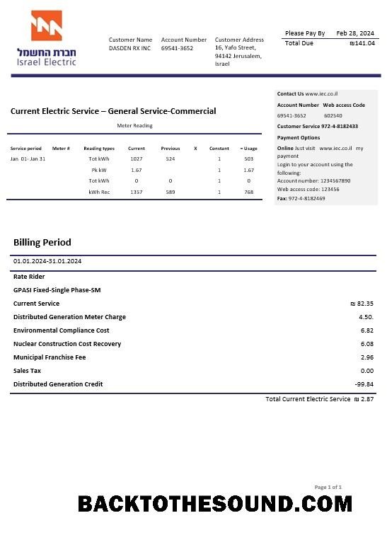 Scarica Israele Electric Corporation Affari Bolletta Bolletta in Word and PDF Formati Campione anteprima