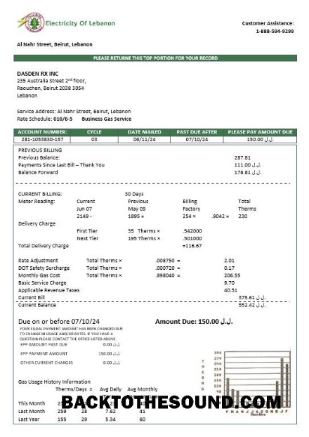 Scarica Libano Elettricità of Libano Affari Bolletta Bolletta in Word and PDF Formati Campione mockup