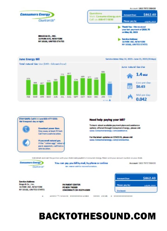 Scarica Michigan Consumers Energy Affari Bolletta Bolletta, Word and PDF SCR Campione anteprima