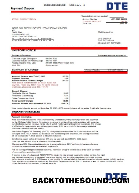 Scarica Michigan DTE Energy Bolletta Affari Bolletta, Word and PDF SCR Campione modello