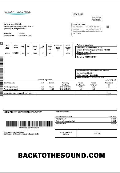 Scarica Moldavia Gas Affari Bolletta Bolletta in Word and PDF Formati Campione campione
