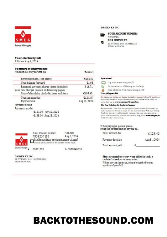 Scarica Monaco SMEG Elettricità Affari Bolletta Bolletta in Word and PDF Formati Campione design