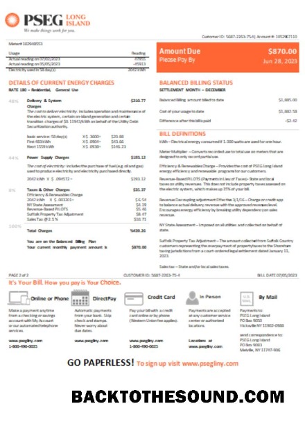 Scarica Nuovo Jersey PSEG Elettricità Bolletta Bolletta, SCR, Pagina 2 Campione anteprima