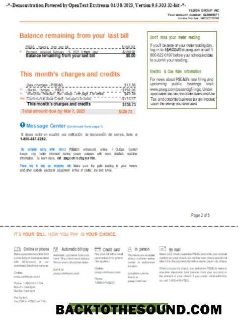 Scarica Nuovo York PSEG Bolletta Affari Bolletta, Pagina 2, SCR Campione mockup