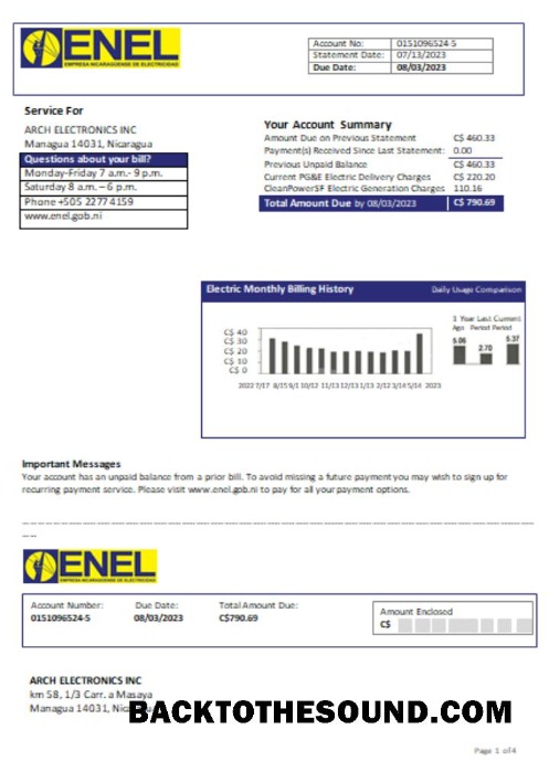 Scarica Nicaraguan Elettricità Azienda (ENEL) Elettricità Bolletta Affari Bolletta, SCR Campione design