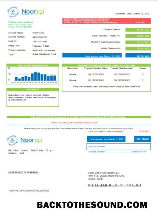 Scarica Noor Life Pure Acqua LLC Bolletta Affari Bolletta, SCR Campione design
