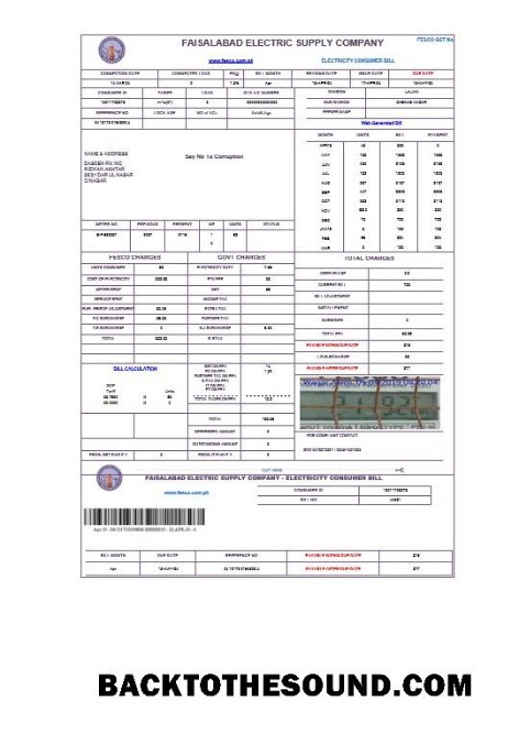 Scarica Pakistan FAISALABAD Affari Bolletta Bolletta Word and PDF Campione campione