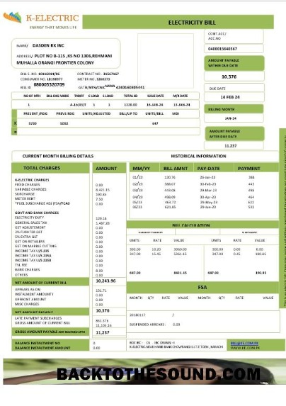 Scarica Pakistan K ELECTRIC LIMITED Affari Bolletta Bolletta Word and PDF Campione design