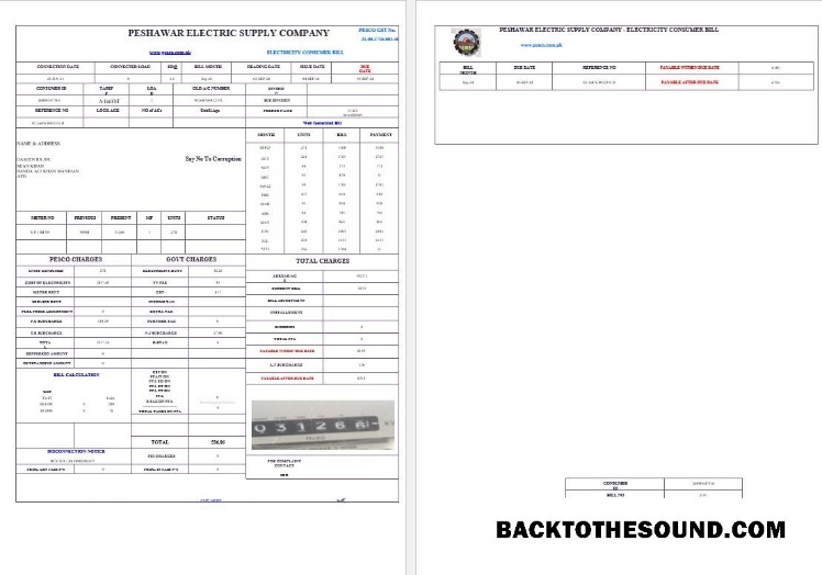 Scarica Pakistan PESHAWAR ELECTRIC SUPPLY Azienda Affari Bolletta Bolletta Word and PDF Campione anteprima