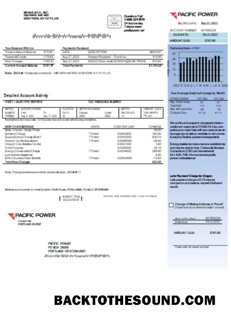 Scarica Pacific Power Bolletta Affari Bolletta, Pagina 1, SCR Campione mockup